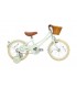 Green 16 Inch Bike, Best 16 Inch Bike, 16 Inch Bicycle, Classic-Pale Mint