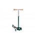 Banwood Scooter Green